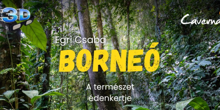 Borneó természeti csodái - előadás