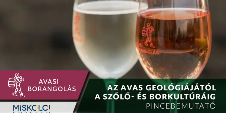 Az Avas geológiájától a szőlő- és borkultúráig