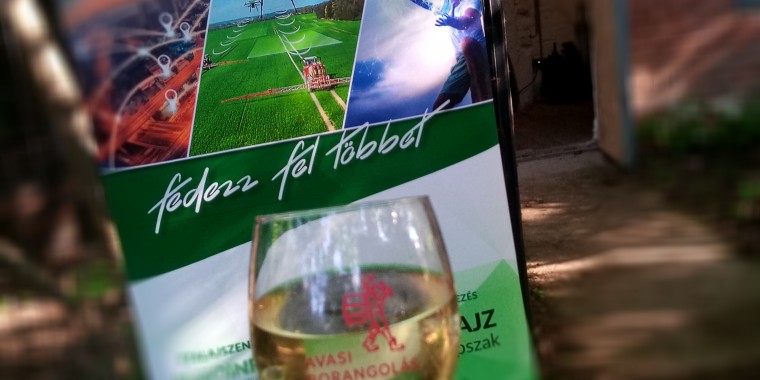 Az Avas geológiájától a szőlő- és borkultúráig